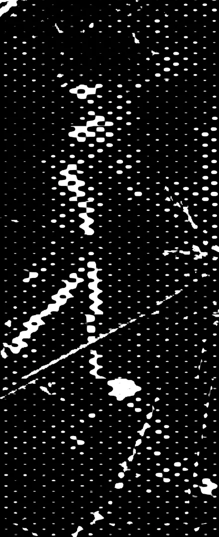 Everscale ecosystem vertical